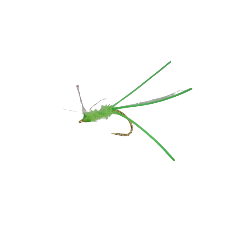 KOLOHE BOYZZ FLIES MENPACHI