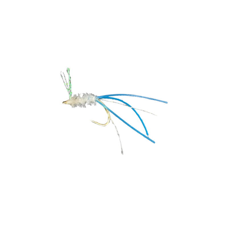 KOLOHE BOYZZ FLIES MENPACHI