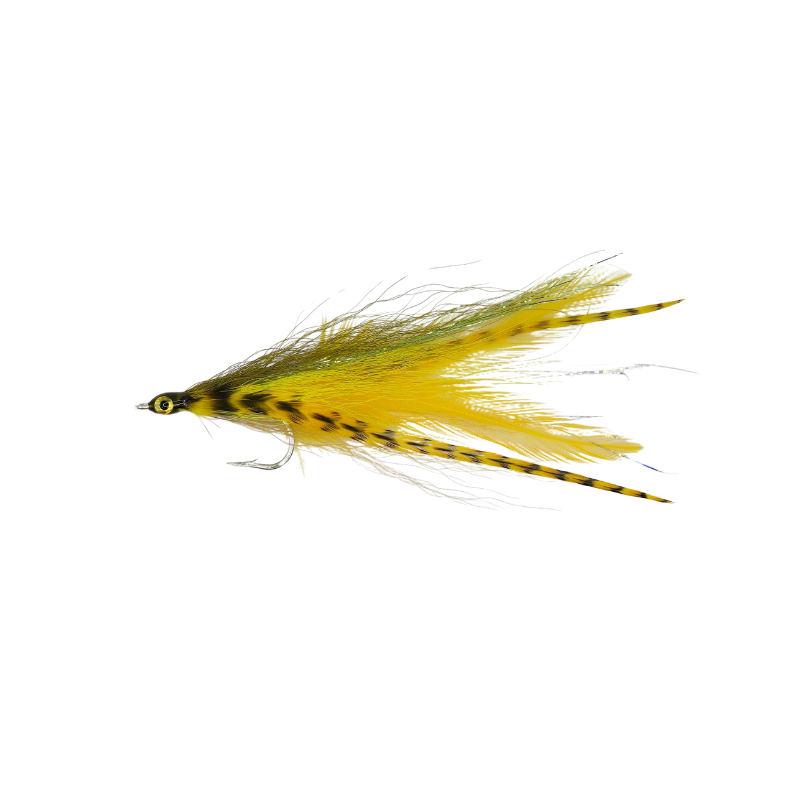 KOLOHE BOYZZ FLIES DECEIVER FLY