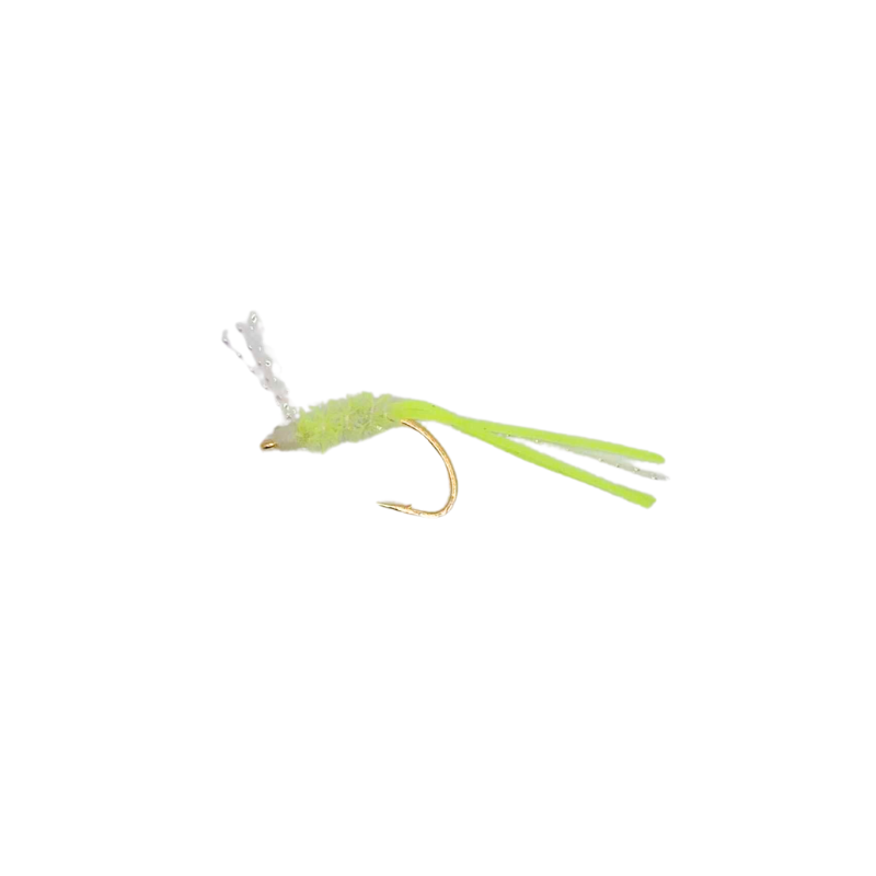 KOLOHE BOYZZ FLIES MENPACHI